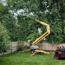 Conyers, GA Tree Care Company