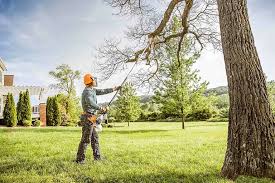 How Our Tree Care Process Works  in  Conyers, GA