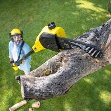 Best Hazardous Tree Removal  in Conyers, GA