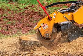 Best Arborist Consultation Services  in Conyers, GA